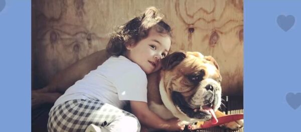 Как девочка и бульдог росли вместе с рождения - трогательное видео - Sputnik Таджикистан