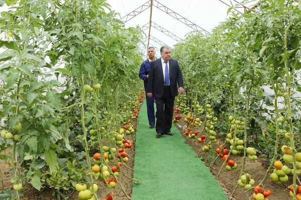 Он отметил, что фермеры должны снабжать жителей качественной, недорогой и экологически чистой продукцией - Sputnik Таджикистан