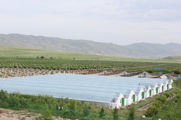 Рахмон подчеркнул, что основной задачей страны является обеспечение продовольственной безопасности - Sputnik Таджикистан