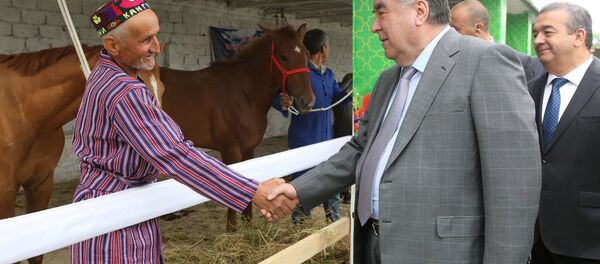 Посещение Хатлонской обсерватории животноводства на рынке Куминово Дангаринского района  - Sputnik Тоҷикистон