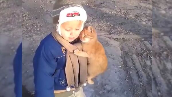 Обними меня! Котенок зацеловал мальчика – очень милое видео - Sputnik Таджикистан