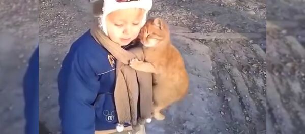 Обними меня! Котенок зацеловал мальчика – очень милое видео Обними меня! Котенок зацеловал мальчика – очень милое видео - Sputnik Таджикистан