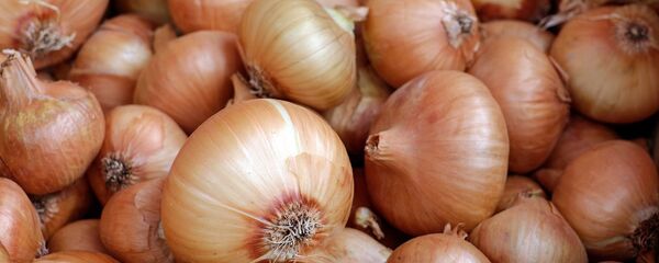 Лук, архивное фото Лук, архивное фото - Sputnik Таджикистан