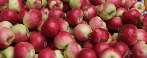 Продажа яблок на рынке Мехргон в Душанбе Продажа яблок на рынке Мехргон в Душанбе - Sputnik Таджикистан