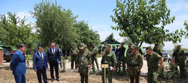 Боздид аз Хоҷагии ёрирасони ВКД - Sputnik Тоҷикистон