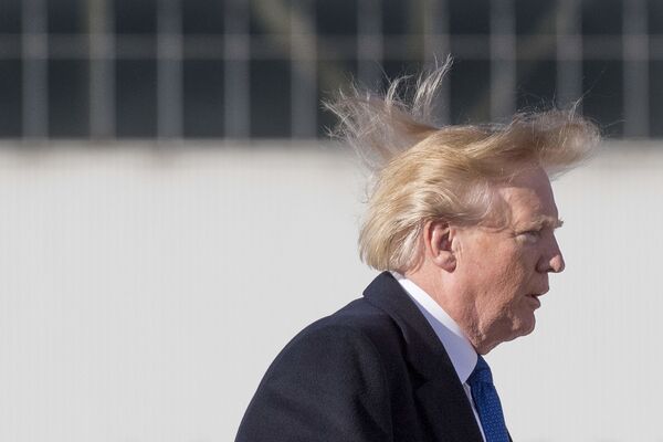 Ветер растрепал волосы президента США Дональда Трампа перед вылетом во Вьетнам для участия в ежегодном саммите Азиатско-Тихоокеанского экономического сотрудничества - Sputnik Таджикистан