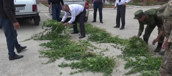 Амалиёти Кукнор-2019 дар ВМКБ - Sputnik Тоҷикистон