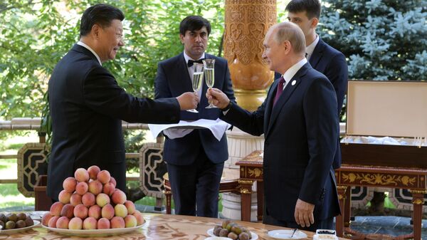 Рабочий визит президента РФ В. Путина в Таджикистан для участия в СВМДА - Sputnik Тоҷикистон