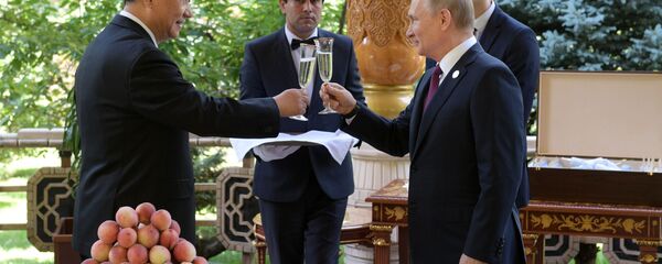 Рабочий визит президента РФ В. Путина в Таджикистан для участия в СВМДА - Sputnik Таджикистан