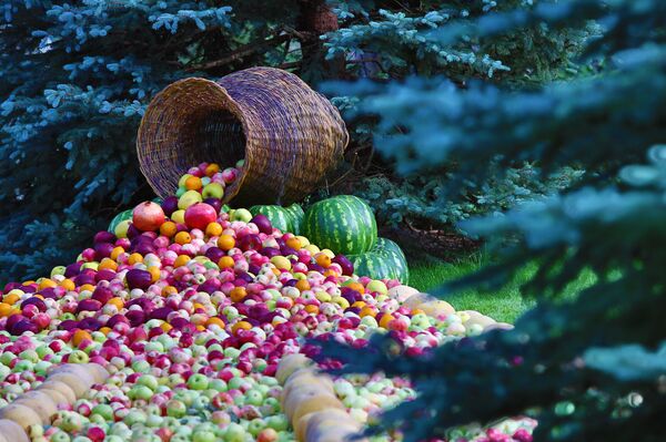 Ҷашнҳои рӯзи 21 октябр дар Тоҷикистон ва ҷаҳон Ҷашнҳои рӯзи 21 октябр дар Тоҷикистон ва ҷаҳон - Sputnik Тоҷикистон