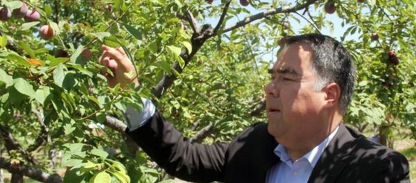 Дидори Аҳмадзода аз Боғи миллии Ваҳдат Дидори Аҳмадзода аз Боғи миллии Ваҳдат - Sputnik Тоҷикистон