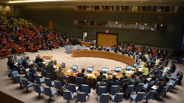 На заседании Совета Безопасности ООН - Sputnik Таджикистан