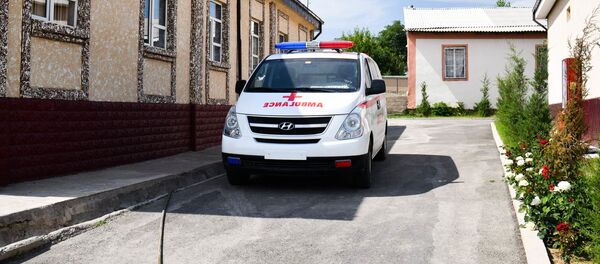 Скорая помощь у медицинского центра сельского джаомата Пушинг - Sputnik Таджикистан