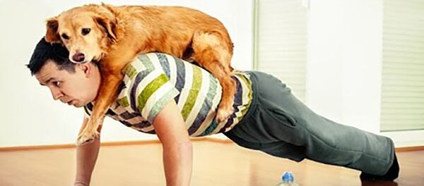 Смешное видео - собаки и их хозяева Смешное видео - собаки и их хозяева - Sputnik Таджикистан