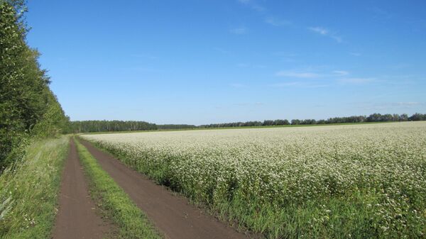 Какой сегодня праздник в Таджикистане и мире: 26 июня Какой сегодня праздник в Таджикистане и мире: 26 июня - Sputnik Таджикистан