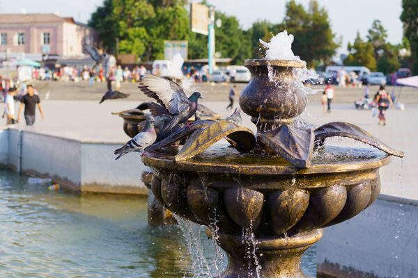 Голуби пьют воду в городском фонтане Худжанда - Sputnik Таджикистан