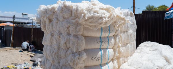 Хлопок, архивное фото - Sputnik Тоҷикистон