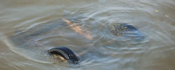 Автомобиль упал в реку Автомобиль упал в реку - Sputnik Тоҷикистон