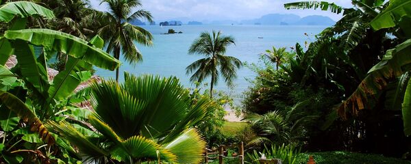 Тропический пейзаж - Sputnik Таджикистан