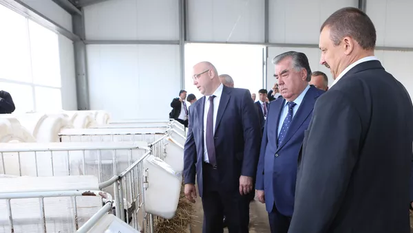 Президенти Ҷумҳурии Тоҷикистон Эмомалӣ Раҳмон аз Комбинати кишоварзии «Дзержинский»-и Ҷумҳурии Беларус боздид намуд - Sputnik Тоҷикистон