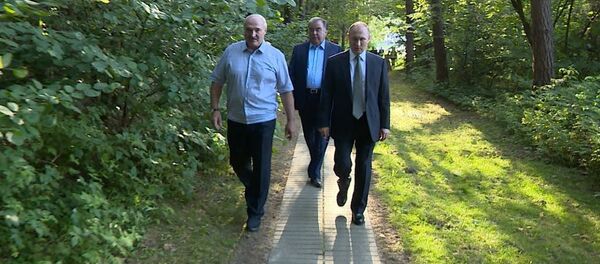 Рахмон присоединился к встрече Лукашенко и Путина  - Sputnik Тоҷикистон