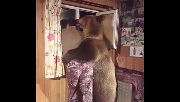 Медведь обнимает мужика - Sputnik Таджикистан