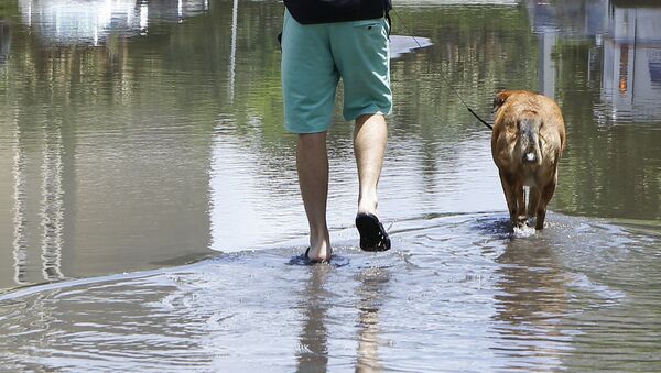 Мужчина идет по затопленному району с собакой - Sputnik Таджикистан