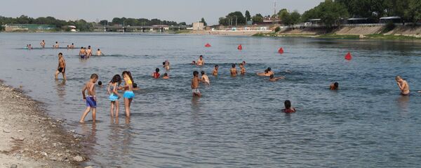 Зона отдыха на берегу реки Сырдарья  - Sputnik Тоҷикистон