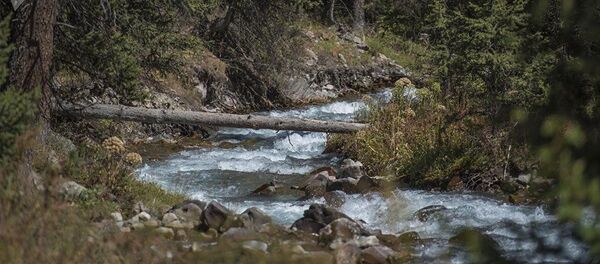 Горная река. Архивное фото - Sputnik Таджикистан