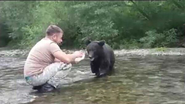 Углегорец кормит с рук медведя - Sputnik Таджикистан