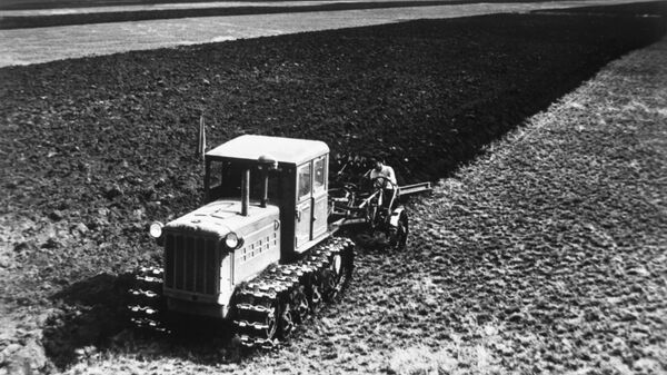 Какой сегодня праздник в Таджикистане и мире: 1 октября  - Sputnik Таджикистан