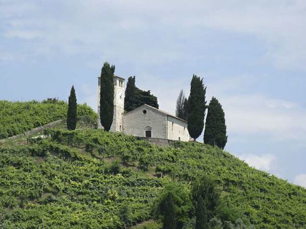 Храм святого Вигилия, вид с виноградников, где выращивается Prosecco, Италия  - Sputnik Тоҷикистон