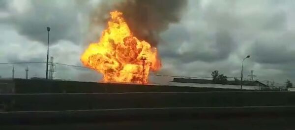 Скриншот из видео - Sputnik Таджикистан