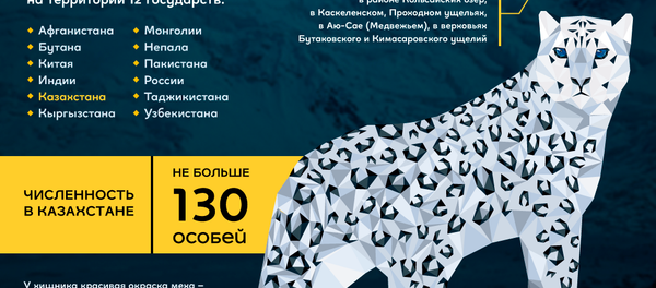 Ирбис или снежный барс: сокровище из Красной книги - Sputnik Таджикистан