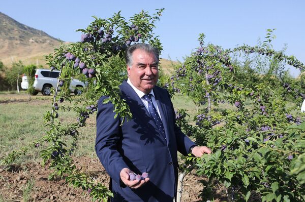 Какой сегодня праздник в Таджикистане и мире: 4 августа Какой сегодня праздник в Таджикистане и мире: 4 августа - Sputnik Таджикистан