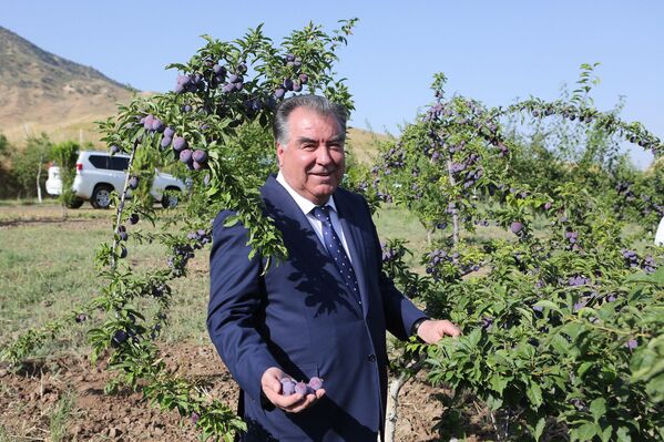 Президент Таджикистана Эмомали Рахмон в парке Чашмаи нукра - Sputnik Таджикистан