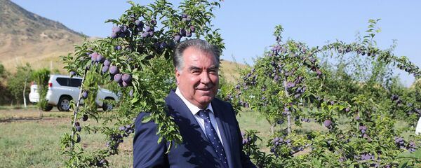 Президент Таджикистана Эмомали Рахмон в парке Чашмаи нукра - Sputnik Тоҷикистон