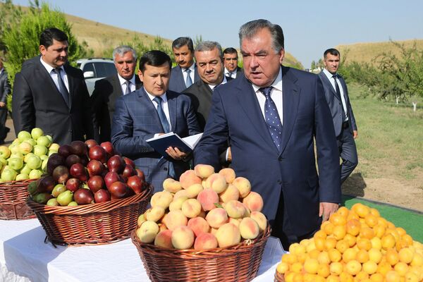 Рабочая поездка президента Таджикистана в Дангару - Sputnik Таджикистан