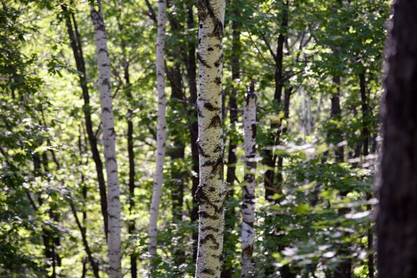 Какой сегодня праздник в Таджикистане и мире: 15 июля - Sputnik Таджикистан