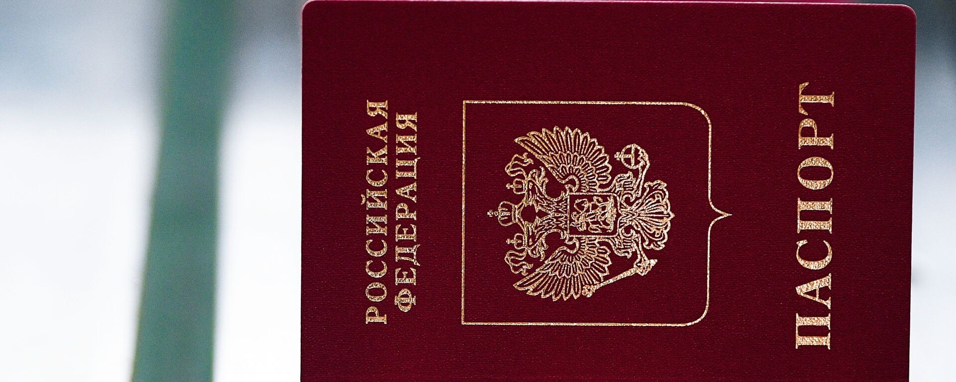Паспорта РФ в процессе производства - Sputnik Тоҷикистон, 1920, 22.12.2022