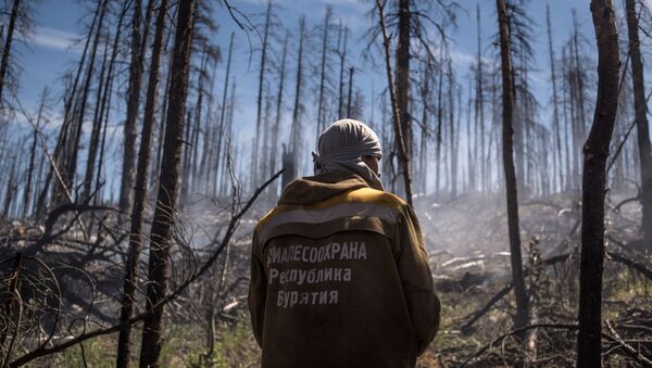 Тушение природного лесного пожара в Бурятии - Sputnik Таджикистан
