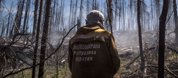 Тушение природного лесного пожара в Бурятии Тушение природного лесного пожара в Бурятии - Sputnik Таджикистан