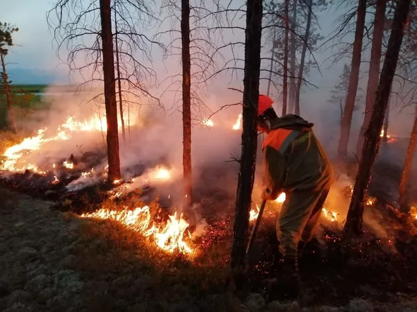 Ҷашнҳои рӯзи 22 октябр дар Тоҷикистон ва ҷаҳон Ҷашнҳои рӯзи 22 октябр дар Тоҷикистон ва ҷаҳон - Sputnik Тоҷикистон