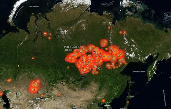 Отчего загорелись сибирские леса — поджог или стихия Отчего загорелись сибирские леса — поджог или стихия - Sputnik Таджикистан