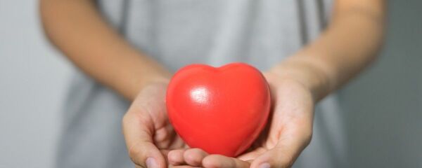 Игрушечное сердце в руках, архивное фото - Sputnik Таджикистан