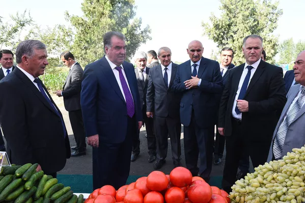Раисиҷумҳури Тоҷикистон Эмомалӣ Раҳмон аз намоишгоҳи кишоварзии шаҳри Ваҳдат боздид кард. - Sputnik Тоҷикистон
