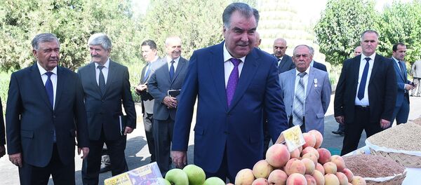 Президент Таджикистана Эмомали Рахмон посетил аграрную выставку Вахдата - Sputnik Таджикистан