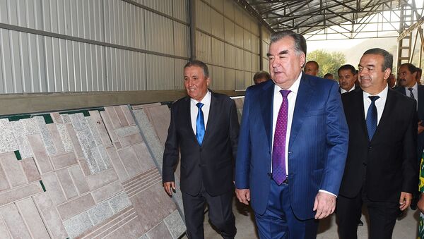 Президент Эмомали Рахмон сдал в эксплуатацию цех по переработке местных камней ООО Элегант-Бальджувон  - Sputnik Таджикистан