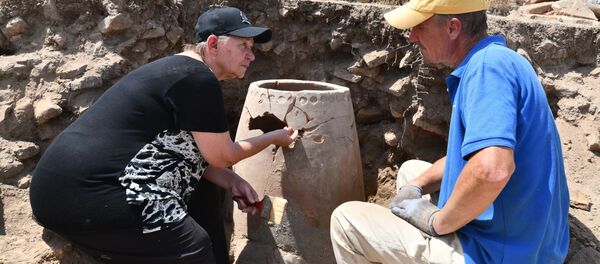 Новые раскопки и находки недалеко от городища Хулбук Новые раскопки и находки недалеко от городища Хулбук - Sputnik Таджикистан
