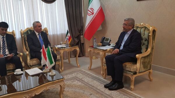 Посол Таджикистана в Иране Низомиддин Зохиди провел встречу с министром энергетики Ирана Ризо Ардакониён  - Sputnik Таджикистан